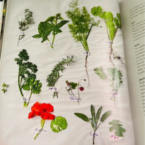 NEW The Family Cooks +100 Recipes Cookbook Hardcover Recipe Book - Picture 15 of 16